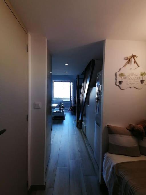 Magnifique Duplex Face A La Mer サン・シル・シュル・メール エクステリア 写真