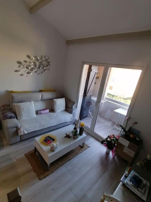 Magnifique Duplex Face A La Mer サン・シル・シュル・メール エクステリア 写真